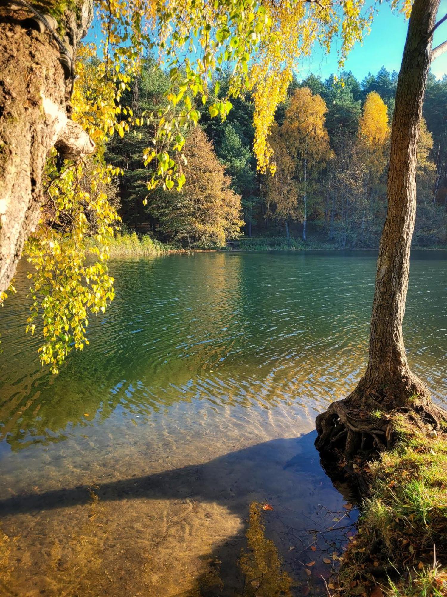 Polwysep Lipa Villa Wdzydze Tucholskie Esterno foto