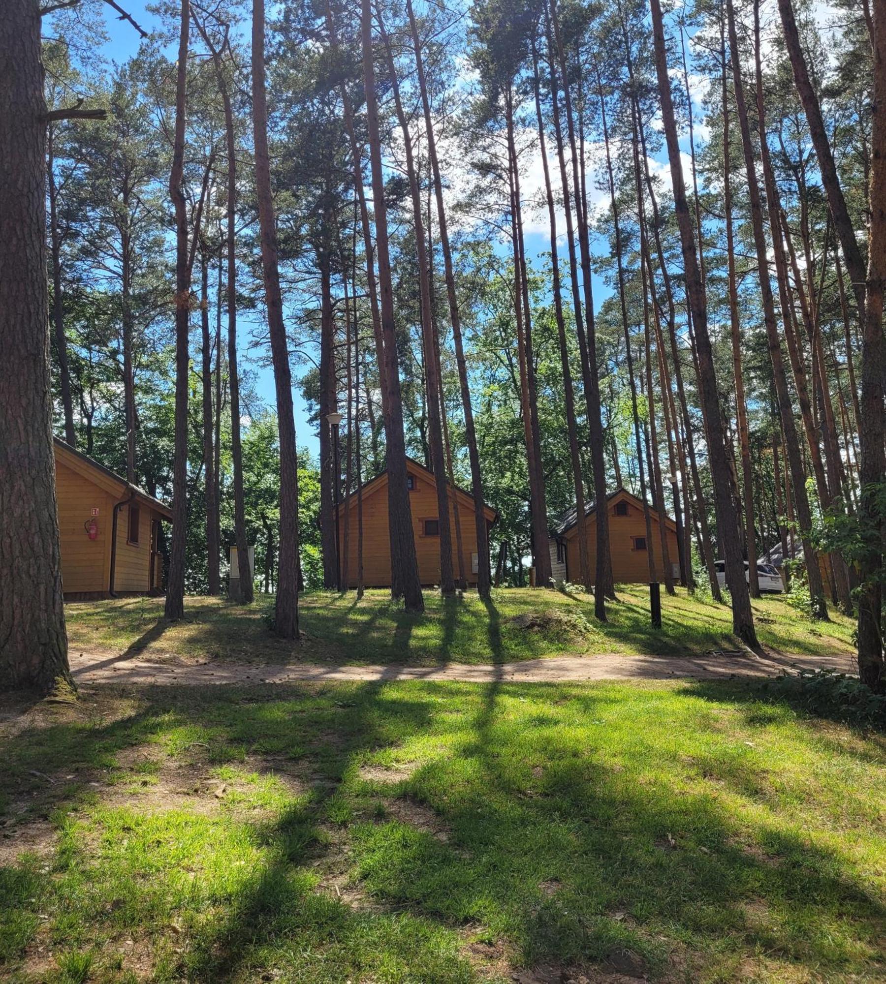 Polwysep Lipa Villa Wdzydze Tucholskie Esterno foto