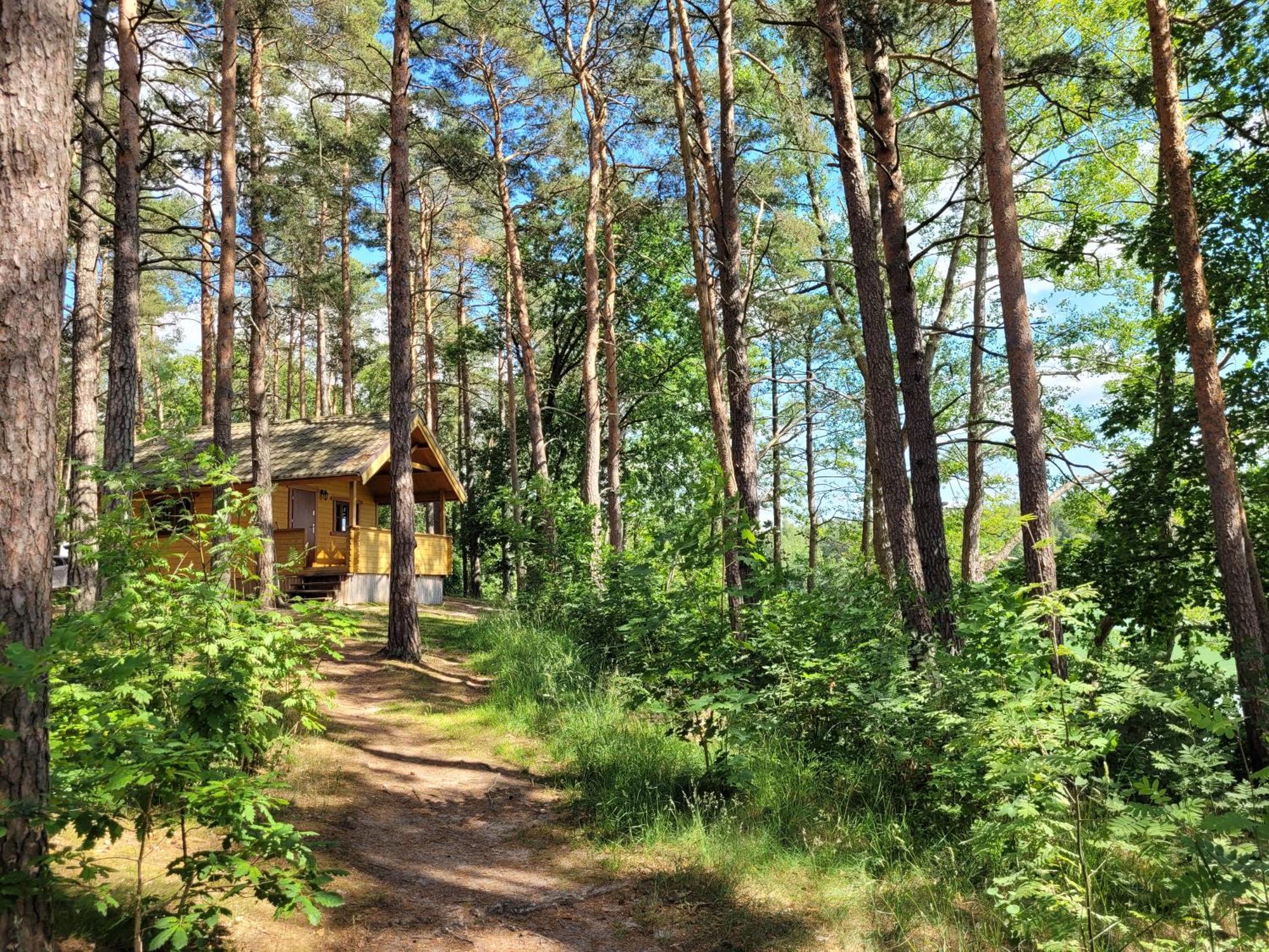 Polwysep Lipa Villa Wdzydze Tucholskie Esterno foto